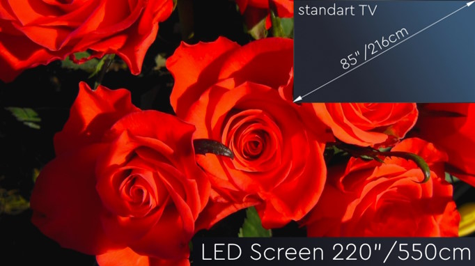 LCD oder LED Screen